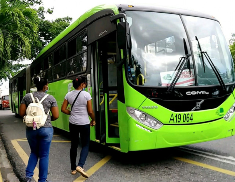 OMSA aumentará flota de autobuses durante este 2026