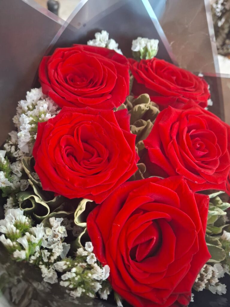 2a3aebb3-1bb1-46b3-8e9a-14655b9306bd